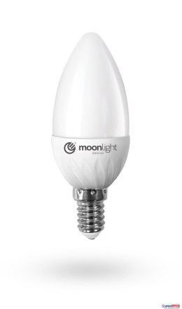 Żarówka LED MOONLIGHT E14/5W/zimne C37/5W/35W/405lm/43mA/ZB Moonlight