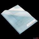 Folder Leitz Combifile, niebieski przezroczysty, folia 5 szt., 200 mic., 47260035 Leitz