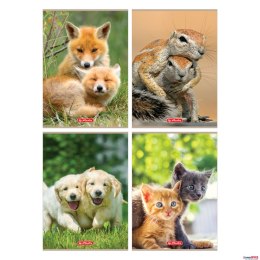 Zeszyt A4, 32 kartki w kratkę, Animals 9583089 Herlitz Herlitz