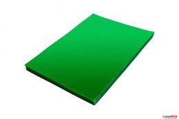 Folia do bindowania A4 DOTTS przezroczysta zielona 0.20 mm opakowanie 100 szt. Dotts