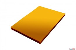 Folia do bindowania A4 DOTTS przezroczysta żółta 0.20 mm opakowanie 100 szt. Dotts