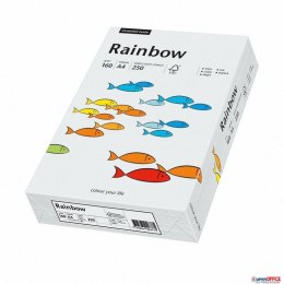 Pap.xero A4 160 j.szary 250aR93 RAINBOW 88042791/84 (X) Rainbow
