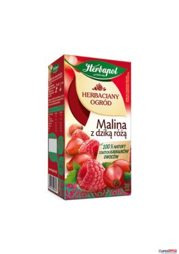 Herbata HERBAPOL MALINA z DZIKĄ różą (20 saszetek) Herbapol