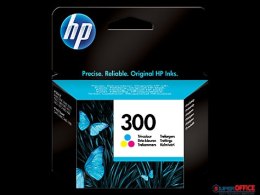 Tusz HP 300 (CC643EE) kolor 165str F4280/D2560 Hewlett-Packard