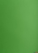 Karton kolorowy A3 160g 25ark zielony 400150241 OXFORD Top 2000