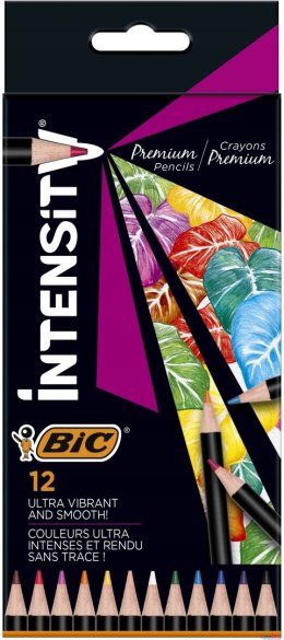 Kredki ołówkowe BIC Intensity Premium 12kol 951844 Bic